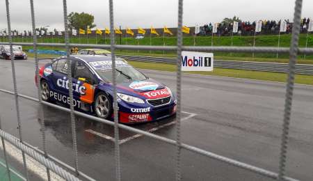 El León, está enjaulado