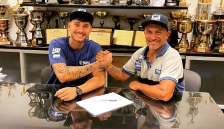 Novillo en Argentina y en Brasil