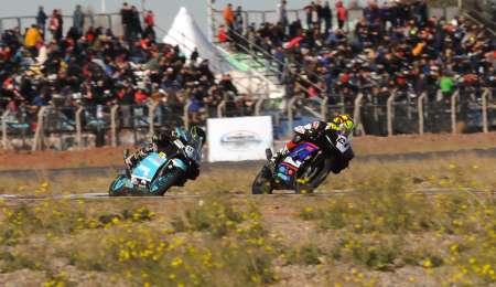 Un compañero de lujo