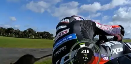 VIDEO: Aleix Espargaró estuvo cerca de golpear un wallaby a más de 200 km/h