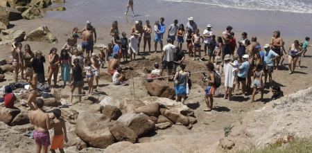 Como un Fiat 600: el increible hallazgo arqueológico en Chapadmalal