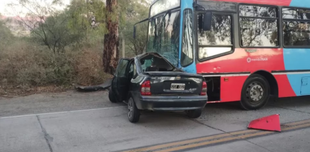 Intentó esquivar un perro, chocó y murió