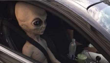 ¡Un extraterrestre de acompañante!