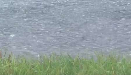 La lluvia no para: Bandera roja en Daytona