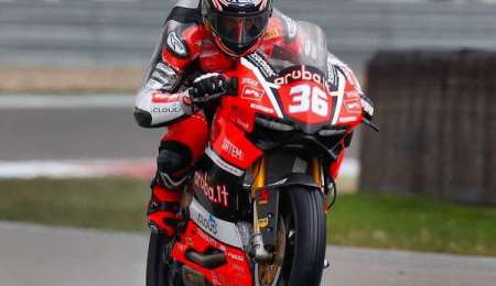 Mercado mejora en Imola