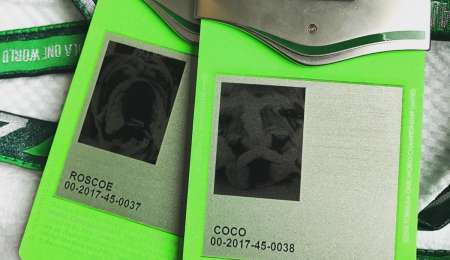 Perros acreditados para la F1