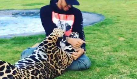 La mano del campeón