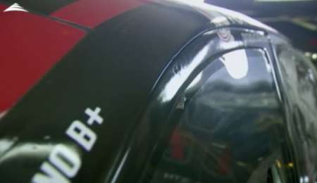 Canapino sorprendido con la exclusión