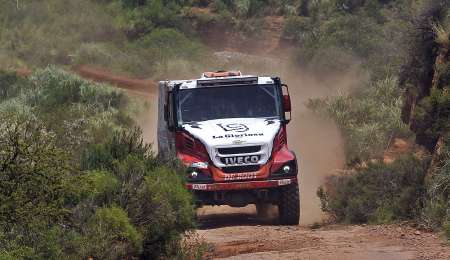 Coyote entre los grandes