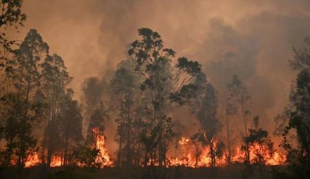 Por el fuego cancelan el Rally de Australia