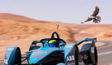 ¿Puede ganarle un Fórmula E al ave más rápida del Mundo?