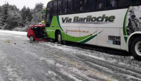 Dos que treparon alto