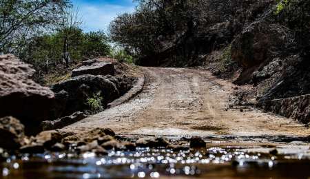 Un integrante del Rally Mundial dio positivo de coronavirus