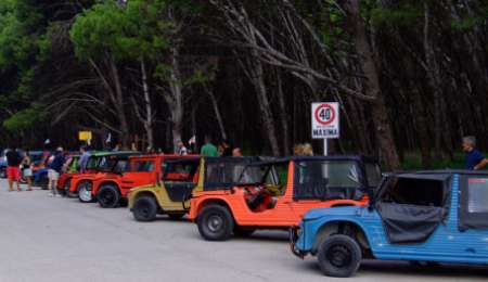 Mehari, de festejo: celebra sus 50 años