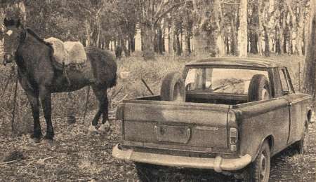 Fiat 1500 Multicarga un auto transformado en Pick Up