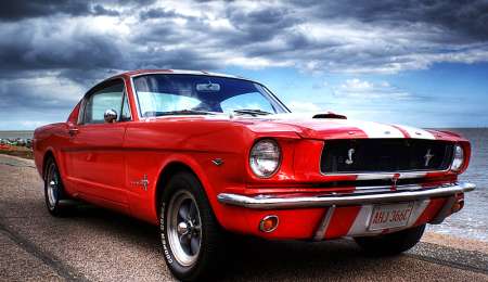 Mustang, el pony que aún cabalga con fuerza