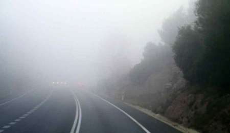 Consejos para manejar con niebla