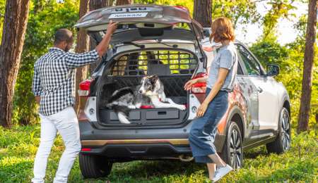 En Brasil Nissan creó una versión Kicks para mascotas