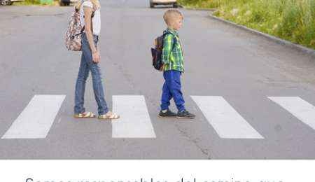 DÍA INTERNACIONAL DEL PEATÓN