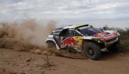 Los leones salieron de caza