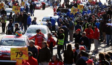 Las piñas que no fueron piñas