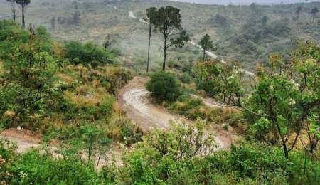 Comenzaron los reconocimientos