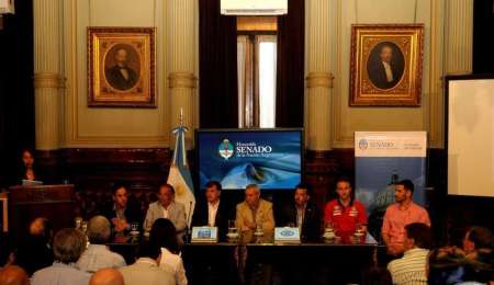 El TC se presentó en el senado