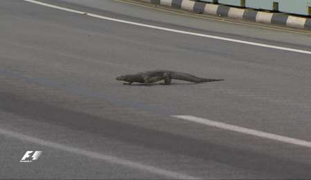 "En 2017 no se podrán pasar"