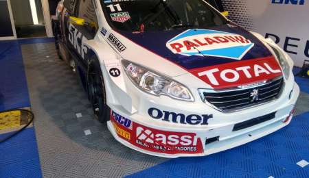 Apareció el León de Girolami en Potrero