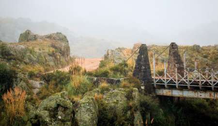 El Rally de Argentina fue postergado por el Covid-19