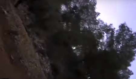 A bordo: Los accidentes de la temporada 2018 del WRC 