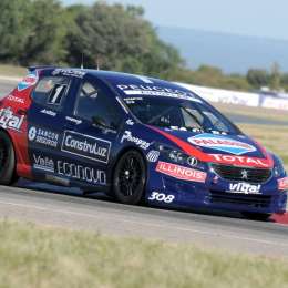 Un León en San Luis