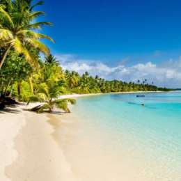 ¿Qué hicieron los pilotos en las vacaciones?