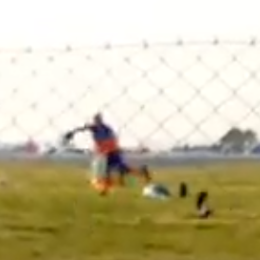 VIDEO: un banderillero vs. los teros en el TC