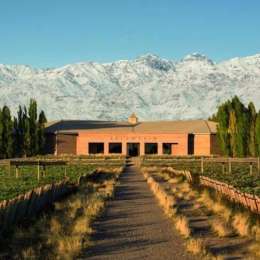 El vínculo entre Zandvoort, la F1 y un vino argentino