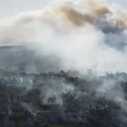 Denuncian el incendio en Hudson: "Es intencional"