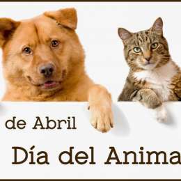 29 de abril: Día del Animal y el cordobés que defendió su la celebración