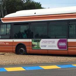 CURIOSA FORMA DE PROBAR LA LECA