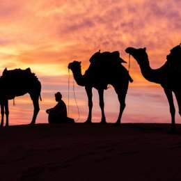 El Dakar volvería a sus orígenes: África en 2020