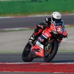 Mercado octavo en Aragón