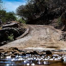 Un integrante del Rally Mundial dio positivo de coronavirus