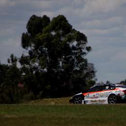 Peluche, a todo o nada