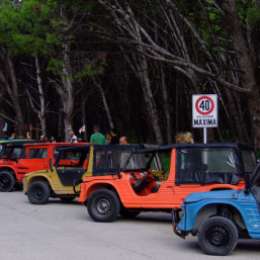 Mehari, de festejo: celebra sus 50 años