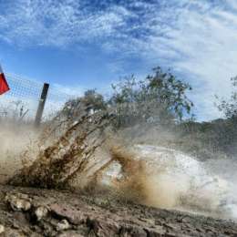 Latvala manda en México