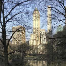 Sin autos en el Central Park de Nueva York
