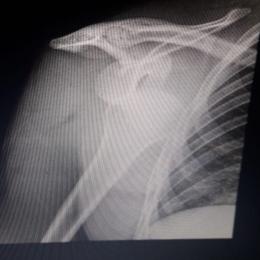 El campeonato antes de la sexta fecha