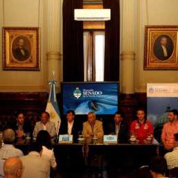 El TC se presentó en el senado