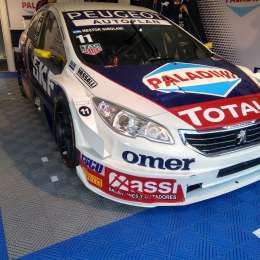 Apareció el León de Girolami en Potrero