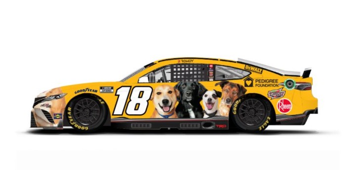 Kyle Busch corre por la adopción de mascotas