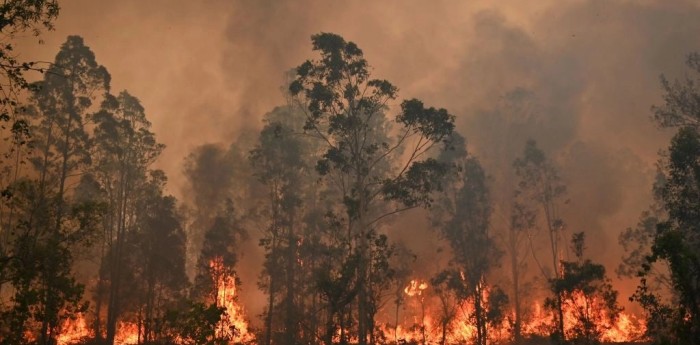 Por el fuego cancelan el Rally de Australia